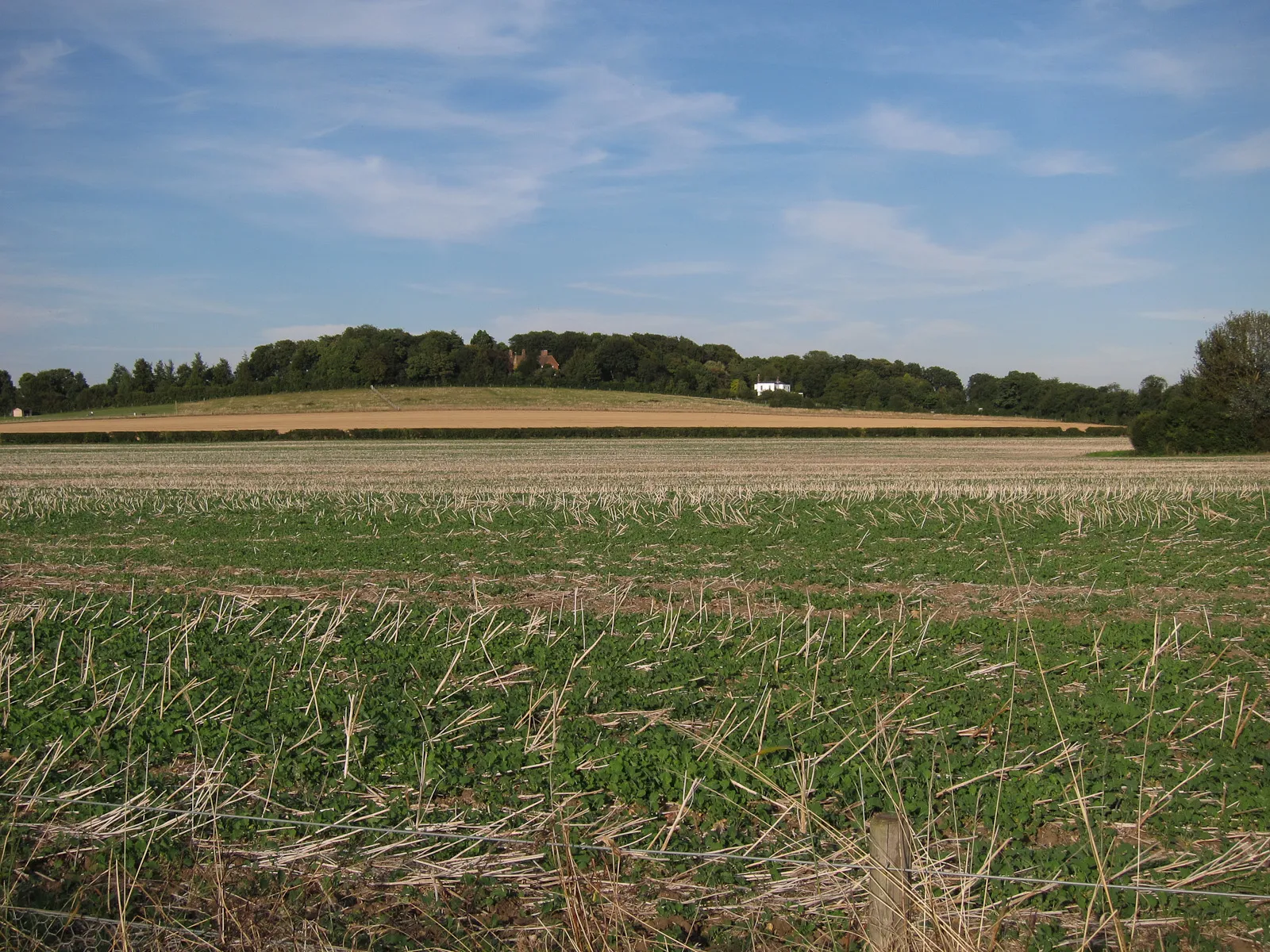 Photo showing: Houses on White Hill