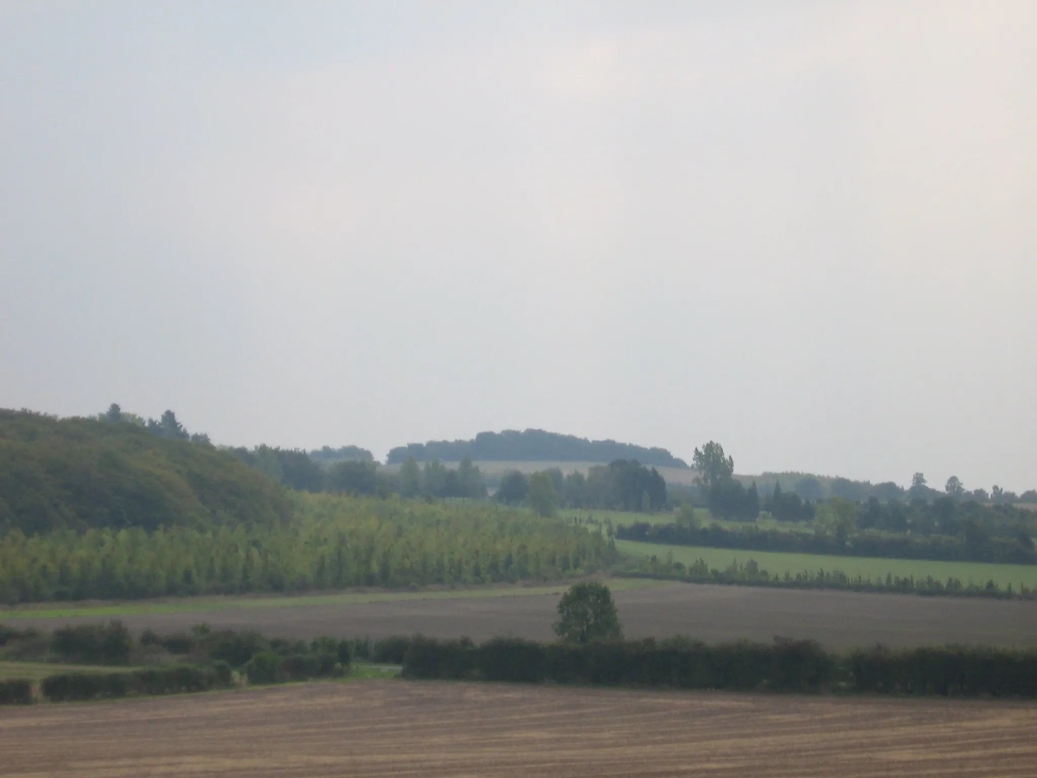 Photo showing: Little Trees Hill, Cambridgeshire