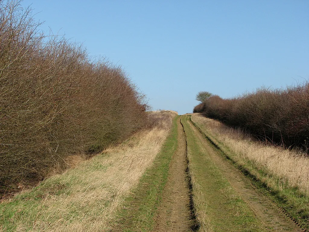 Photo showing: A byway in early spring