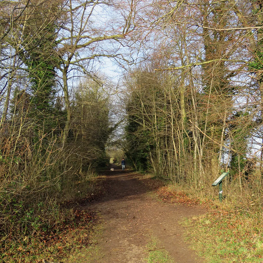 Photo showing: A walk on The Roman Road
