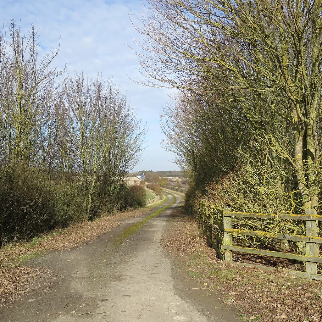 Photo showing: A farm track next to the M11