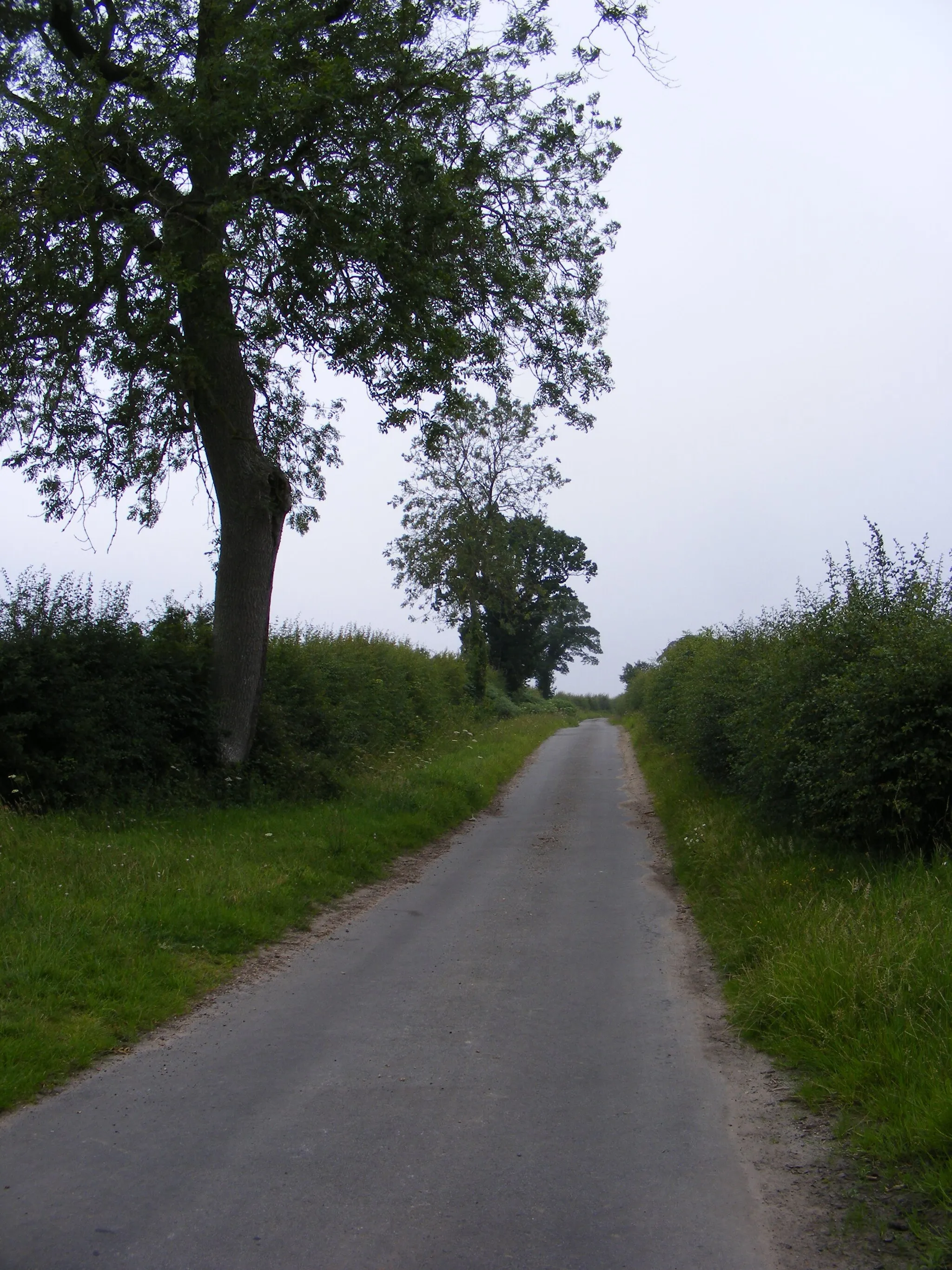 Photo showing: Bray's Lane
