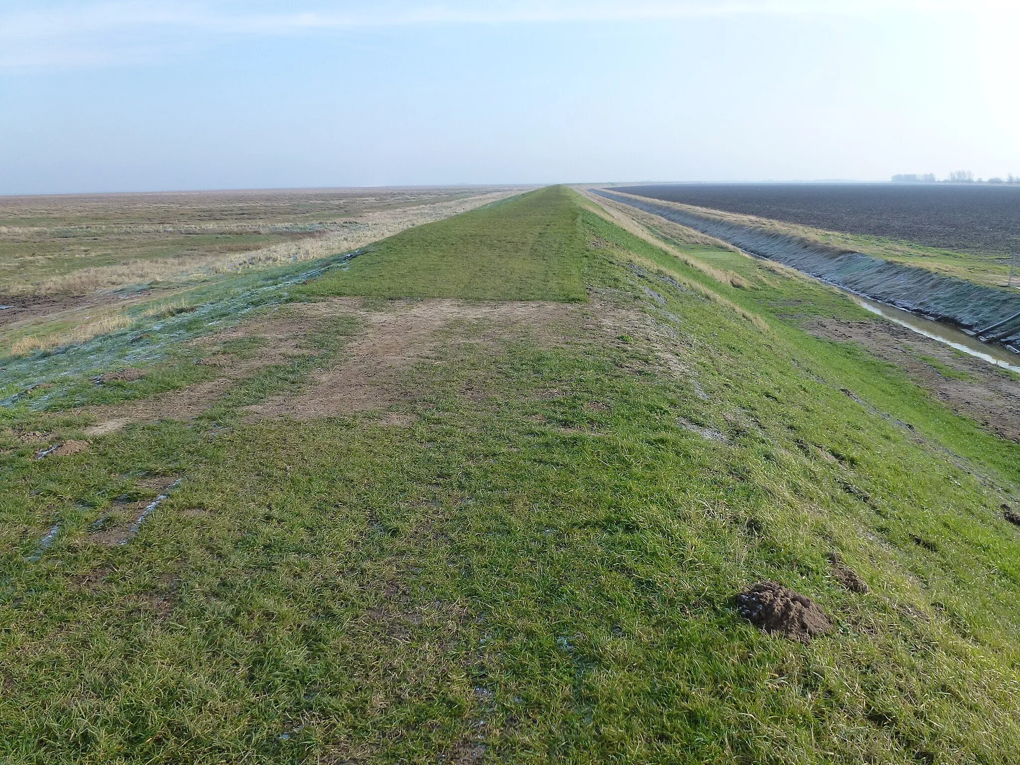 Photo showing: A new section in the sea bank - north of Sutton Bridge