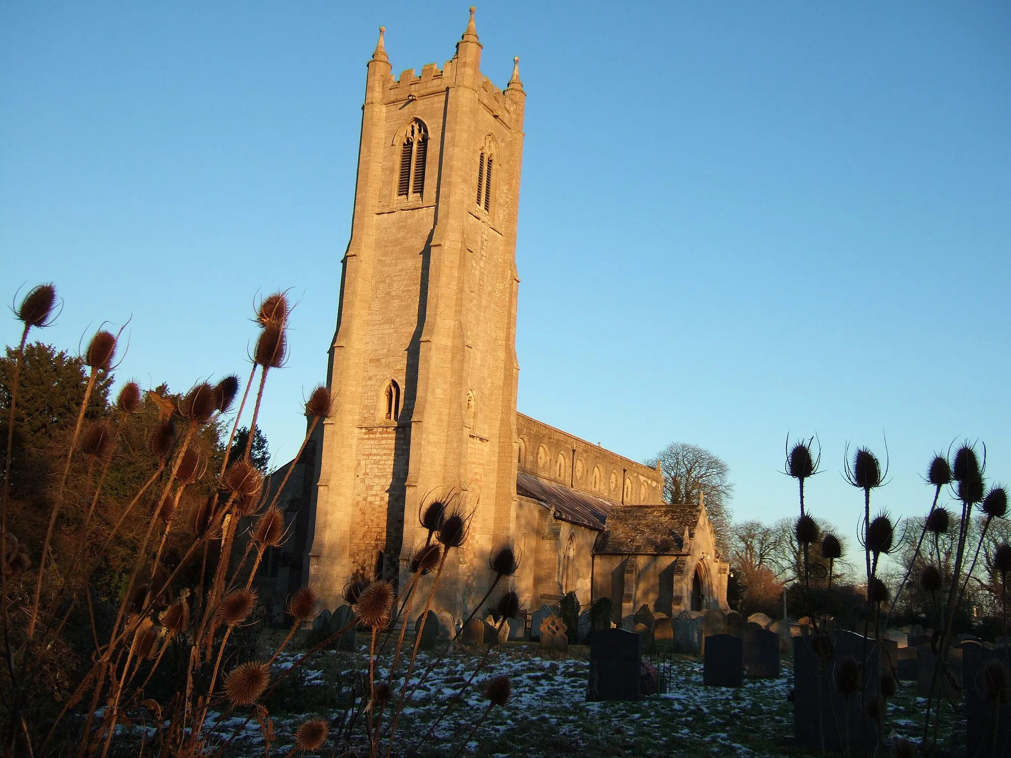 Photo showing: Tower and teasels - Church, Terrington St John