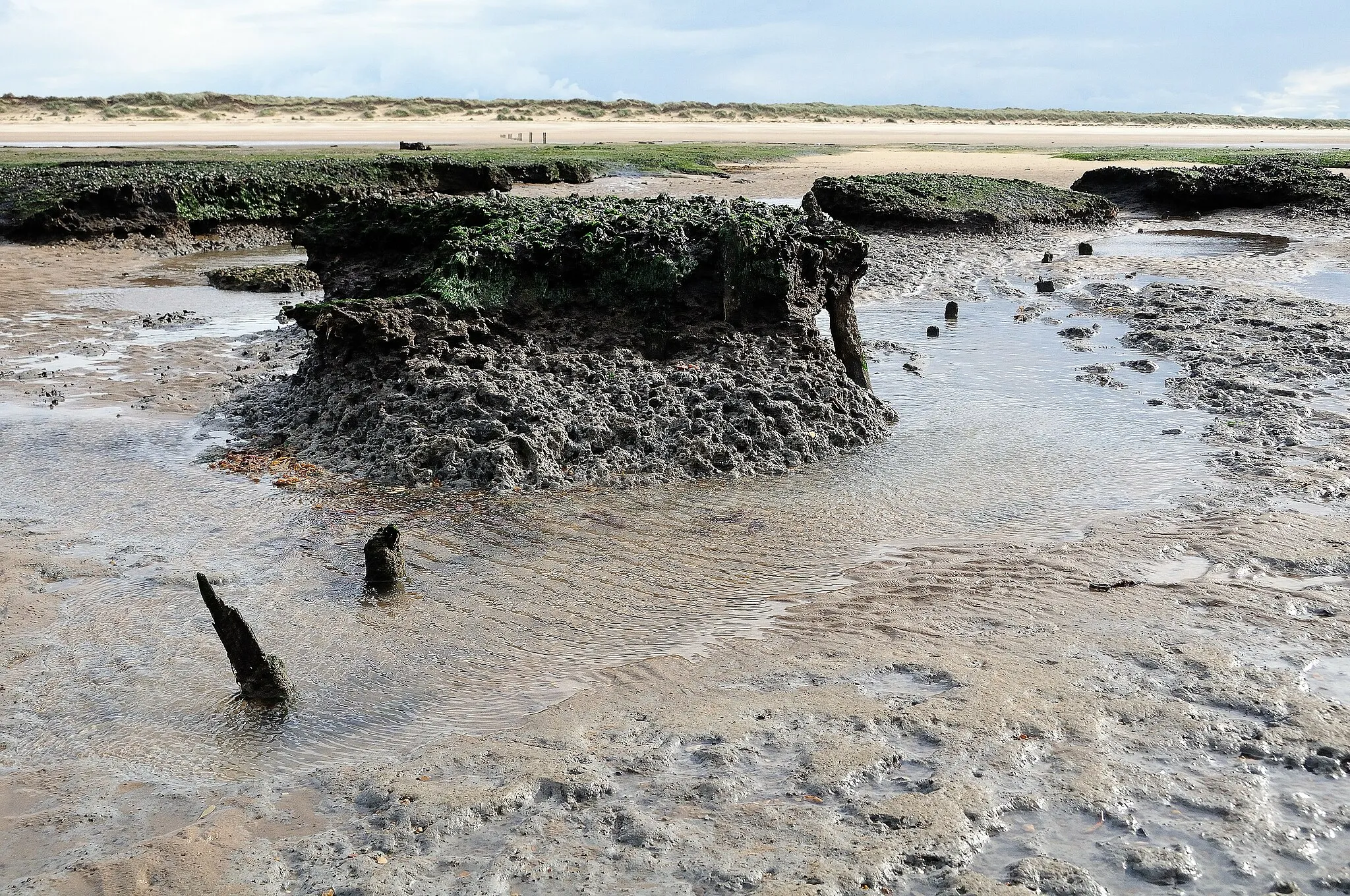 Photo showing: A drowned forest, Holme dunes NNR beach
