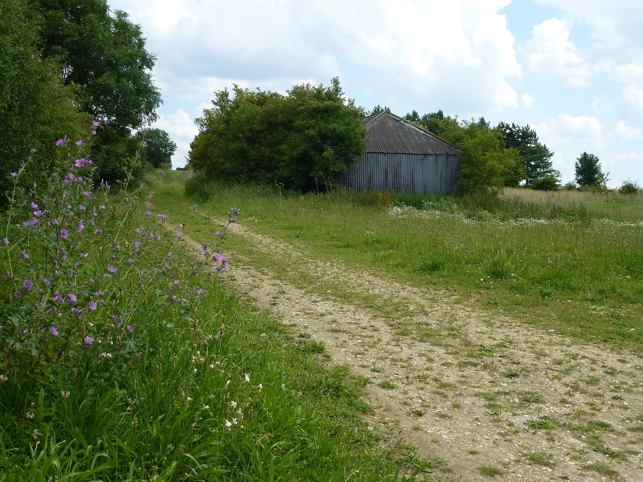 Photo showing: Corrugated metal shed on Abbey Road, Flitcham