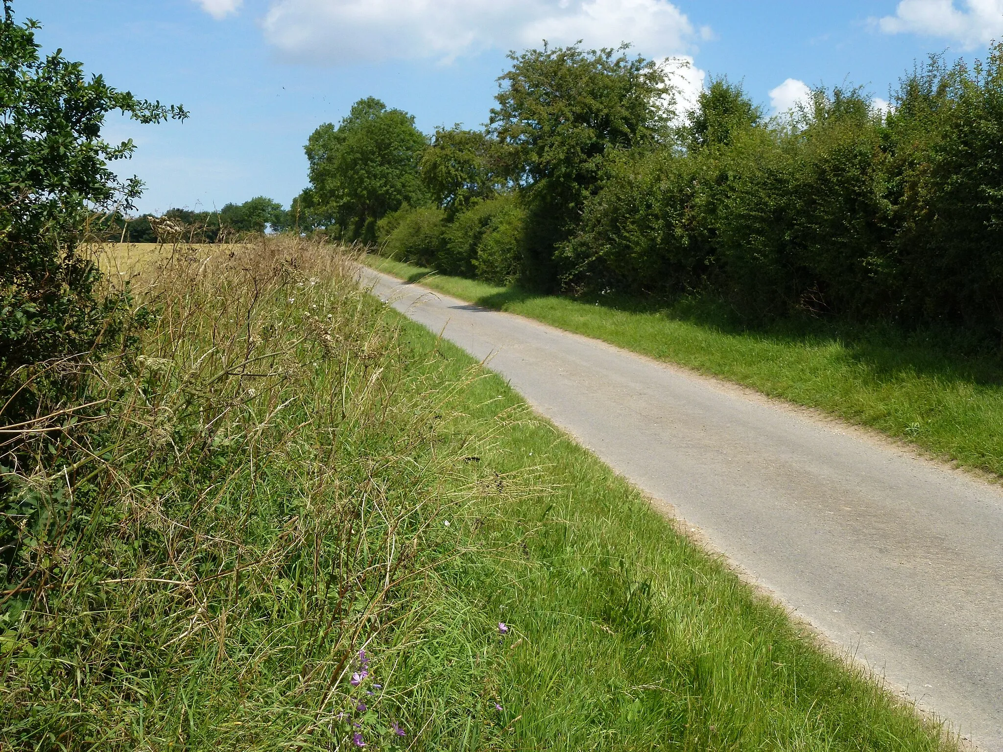 Photo showing: Country lane north of Flitcham in Norfolk