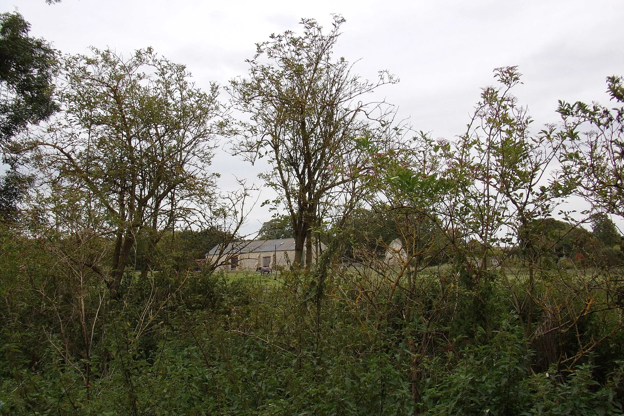 Photo showing: Abbey Farm, West Acre