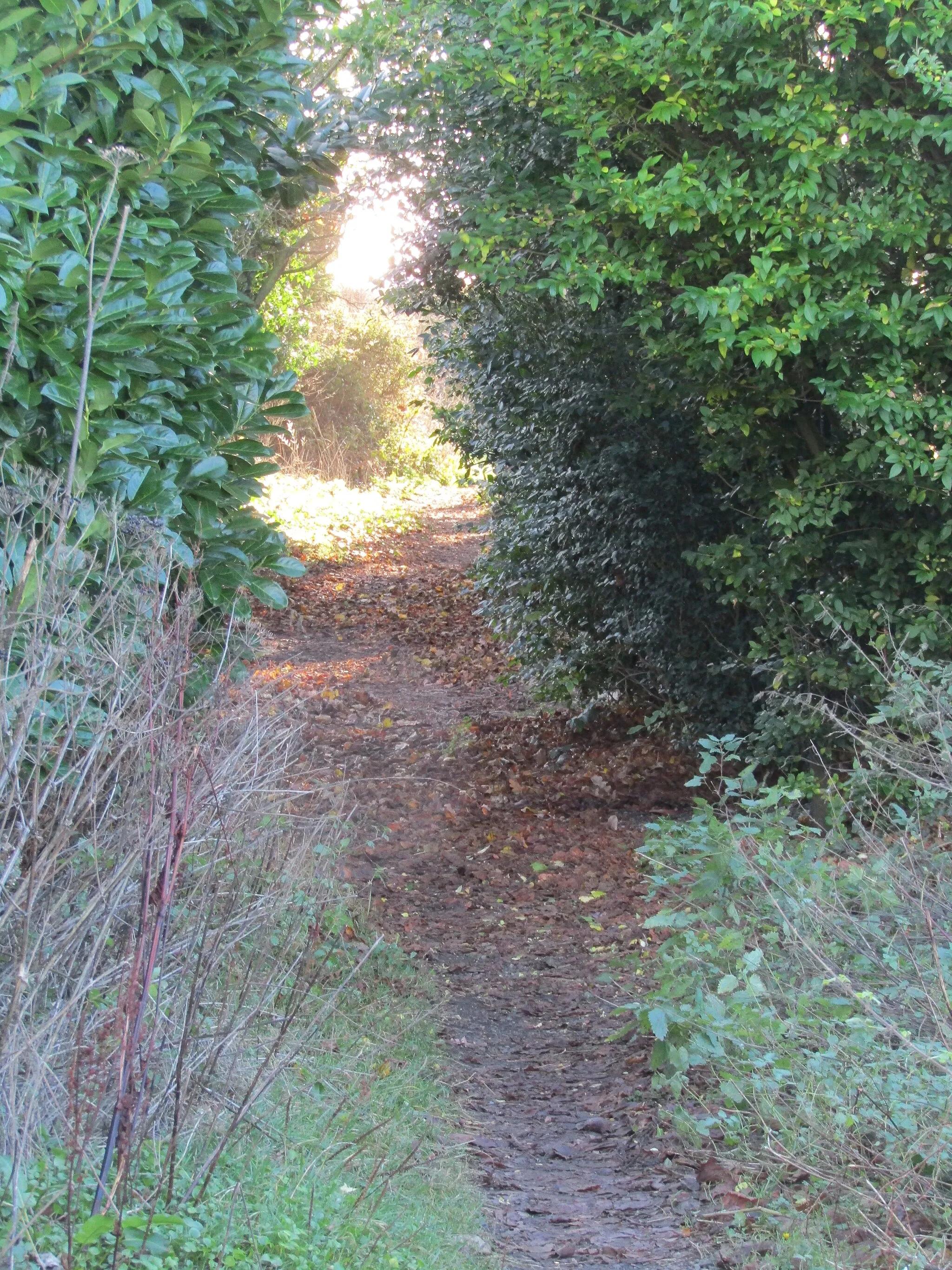 Photo showing: Looking south east along a section of Paston Way located within in the village of Southrepps, Norfolk, England.