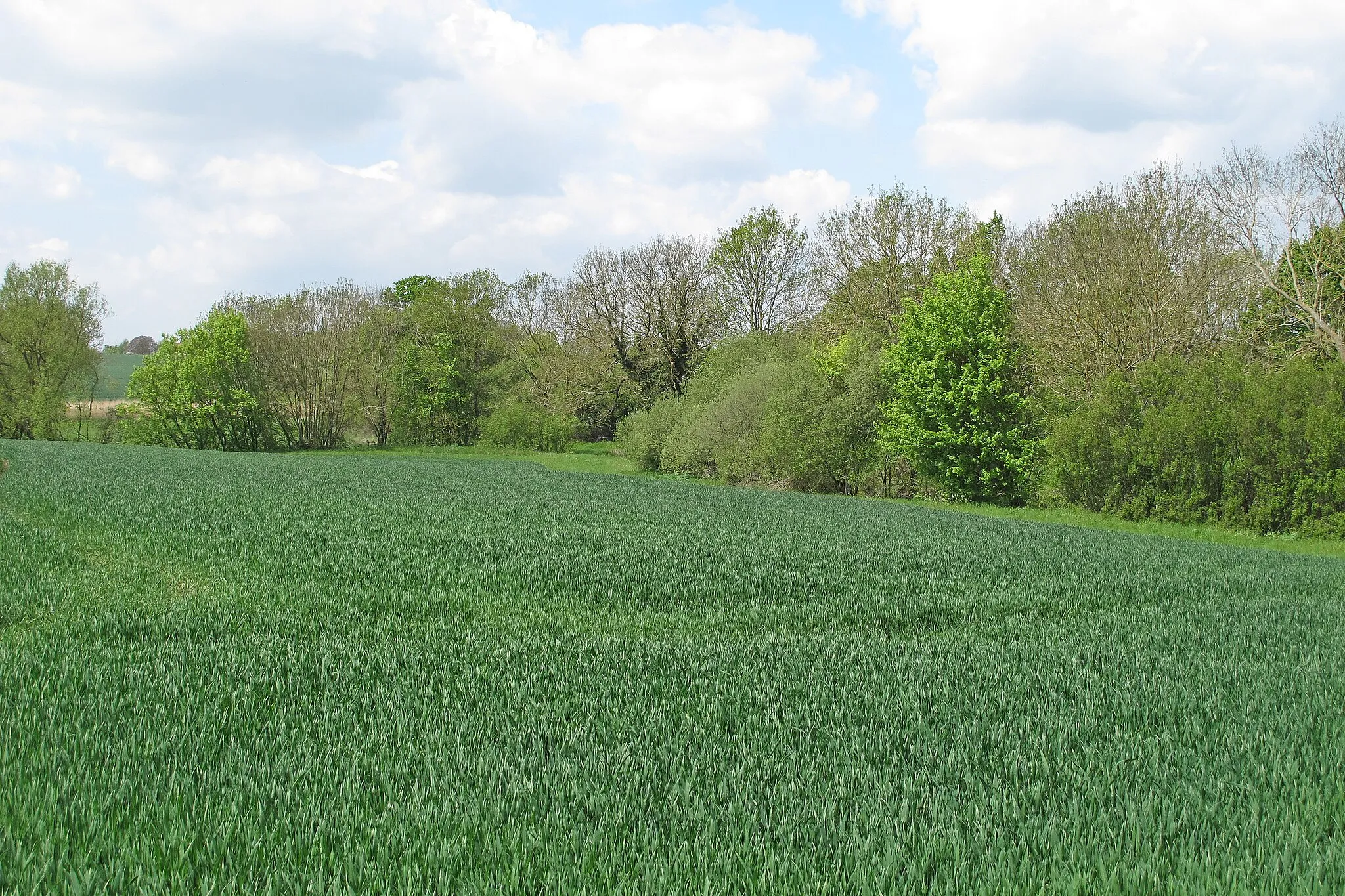 Photo showing: Arable field near Nether Hall, Gestingthorpe