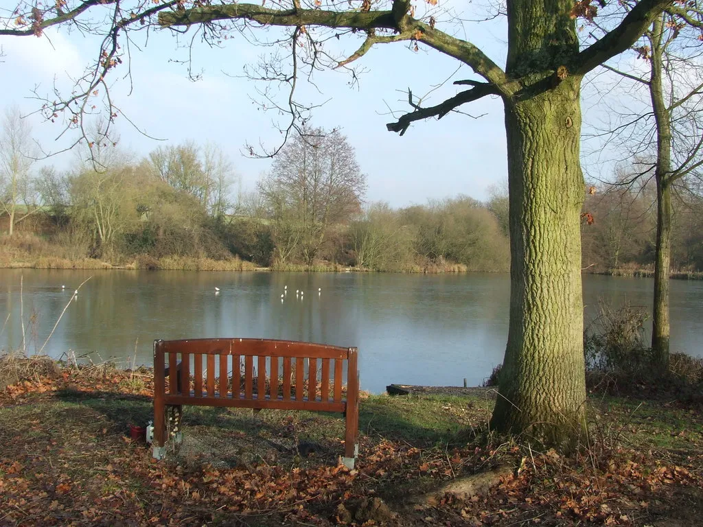 Photo showing: Bench With A View