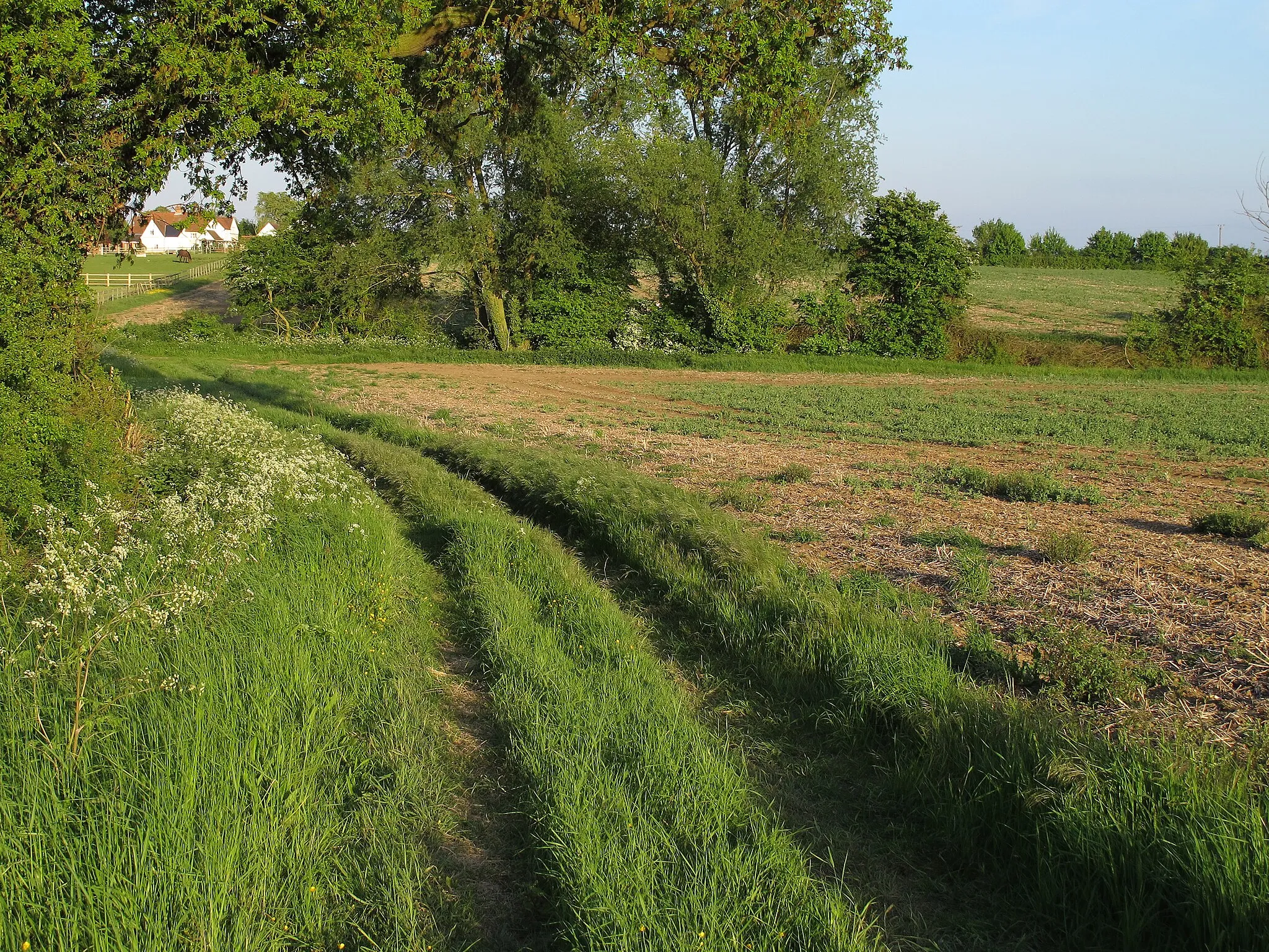 Photo showing: Bridleway and Arable Field, Gainsford End