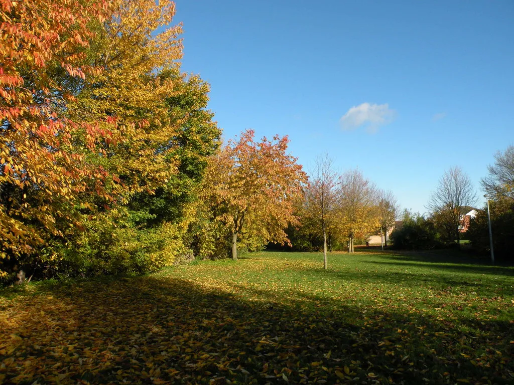 Photo showing: Autumn colour in Teversham