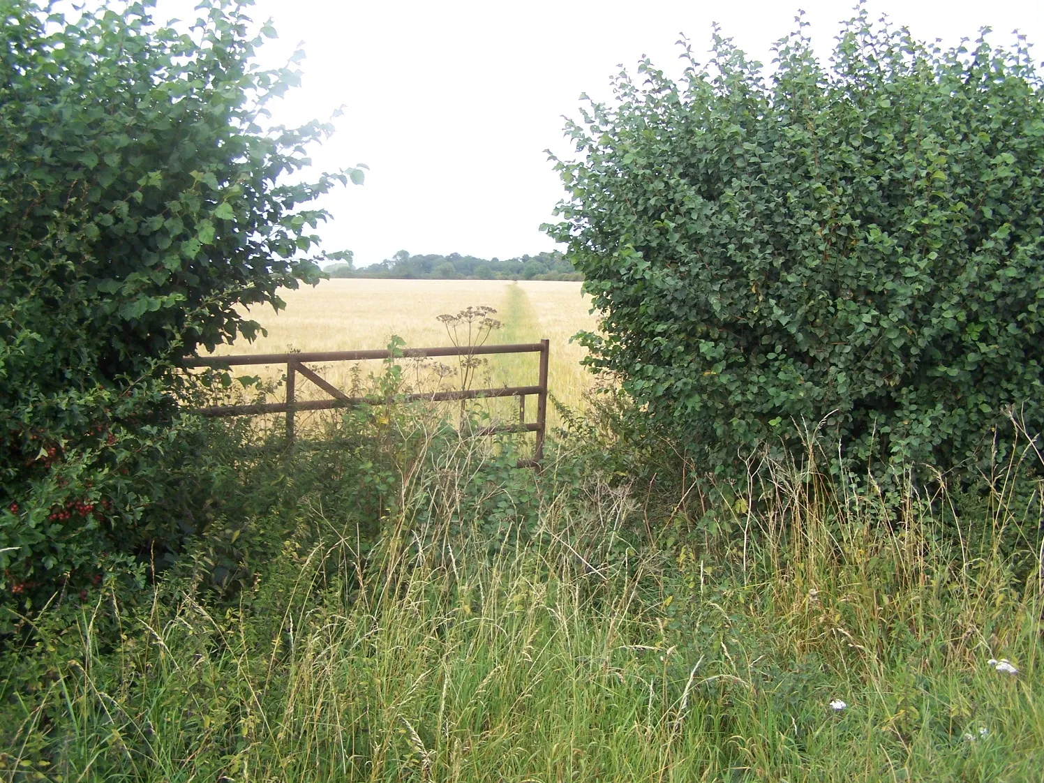 Photo showing: Footpath To Grafton Underwood