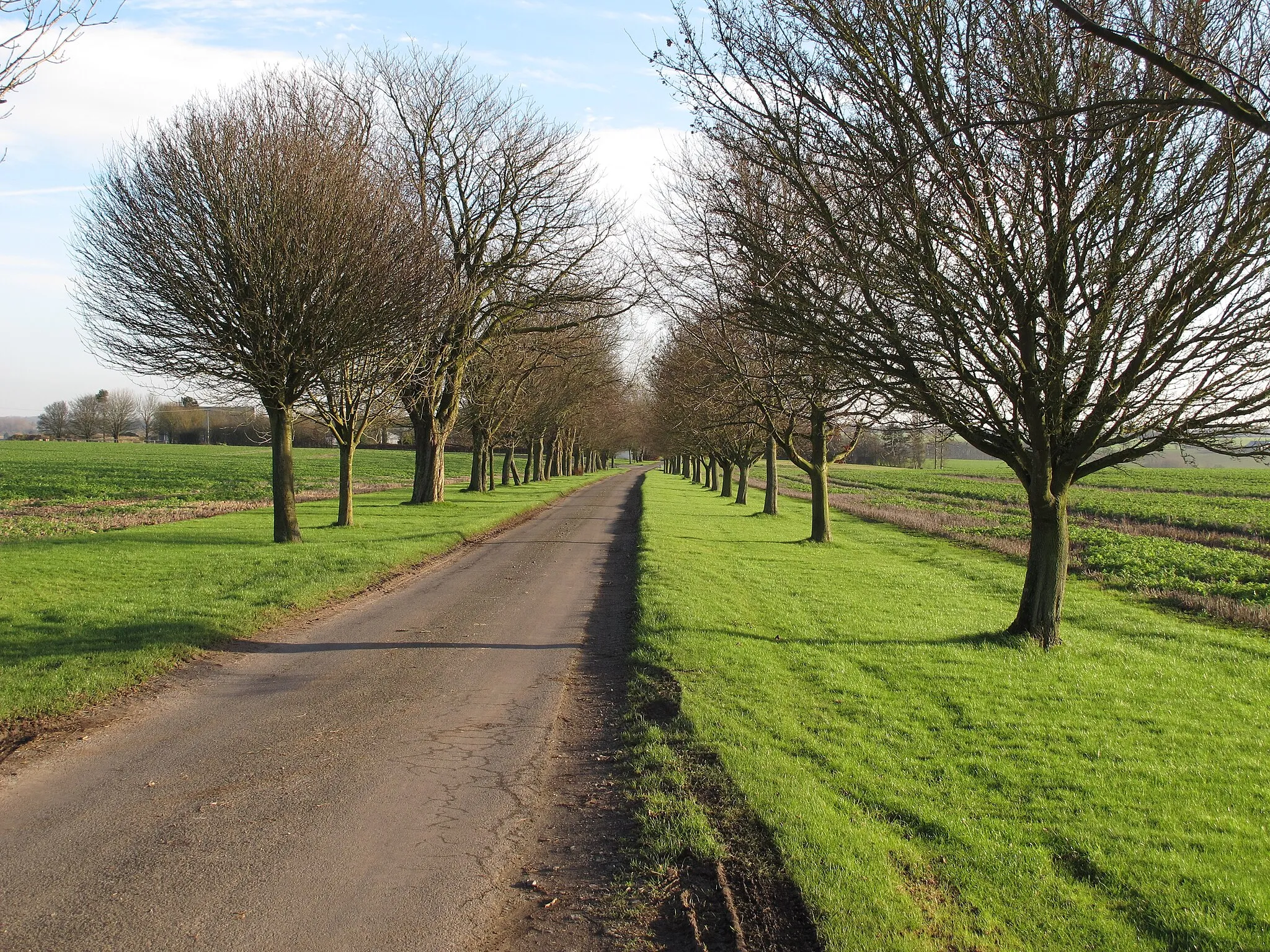 Photo showing: Bridleway to the Hydes, Little Bardfield