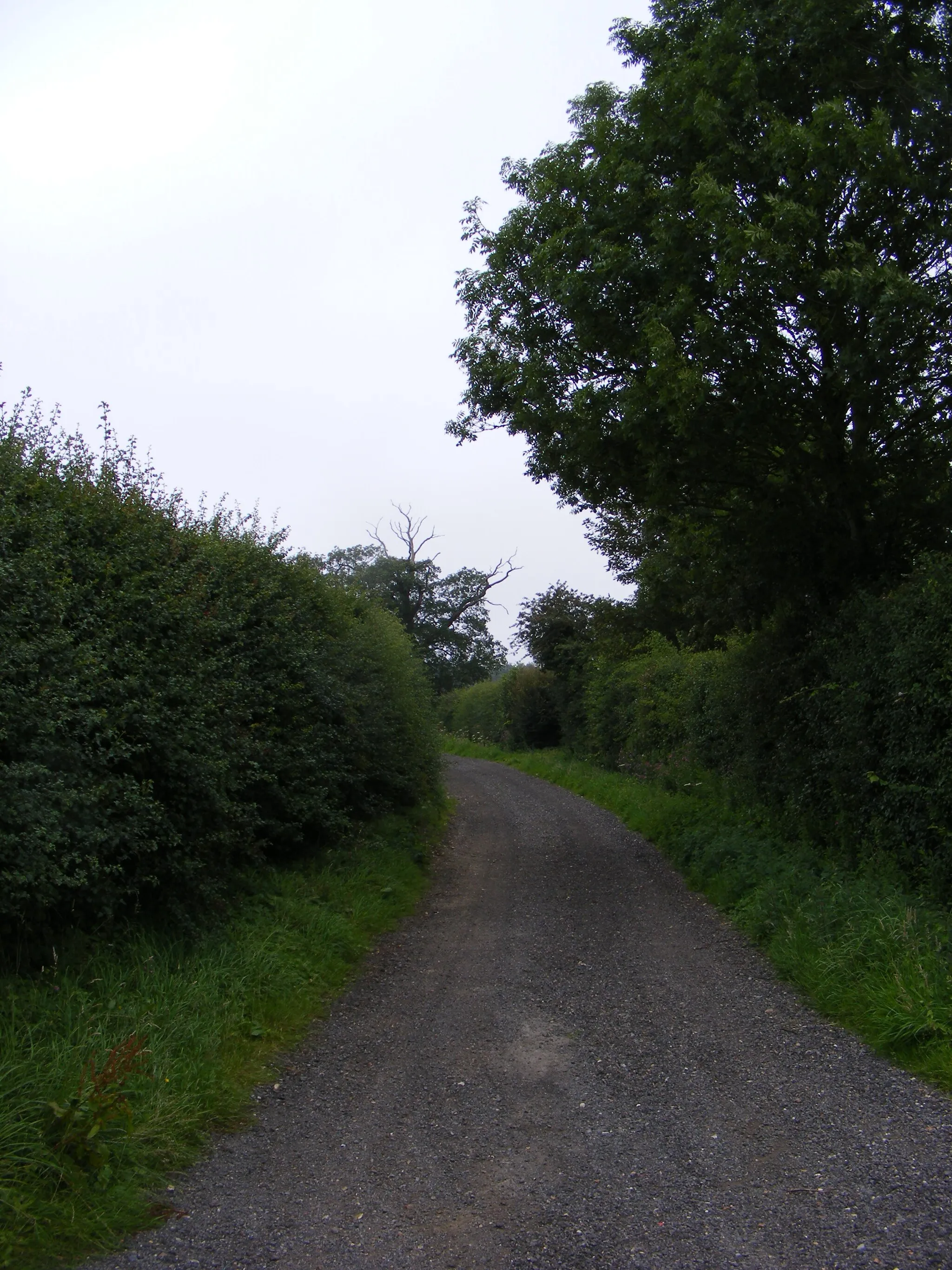 Photo showing: All User Path to Kerdiston