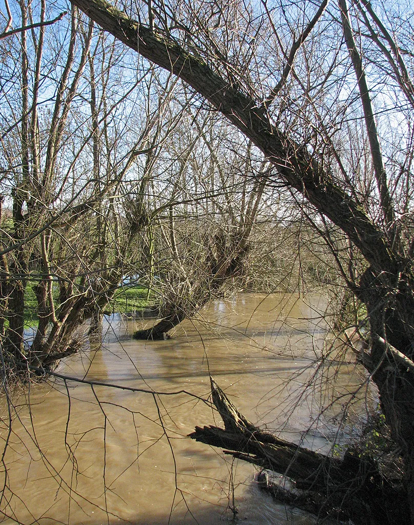 Photo showing: A lot of water in Bourn Brook