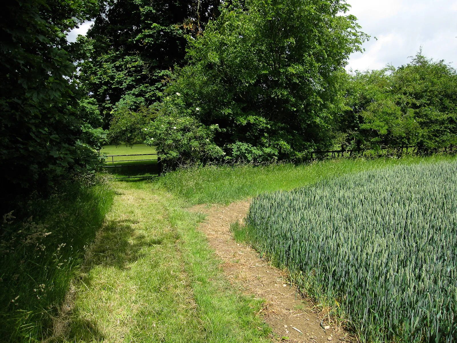 Photo showing: Approaching Denston Park