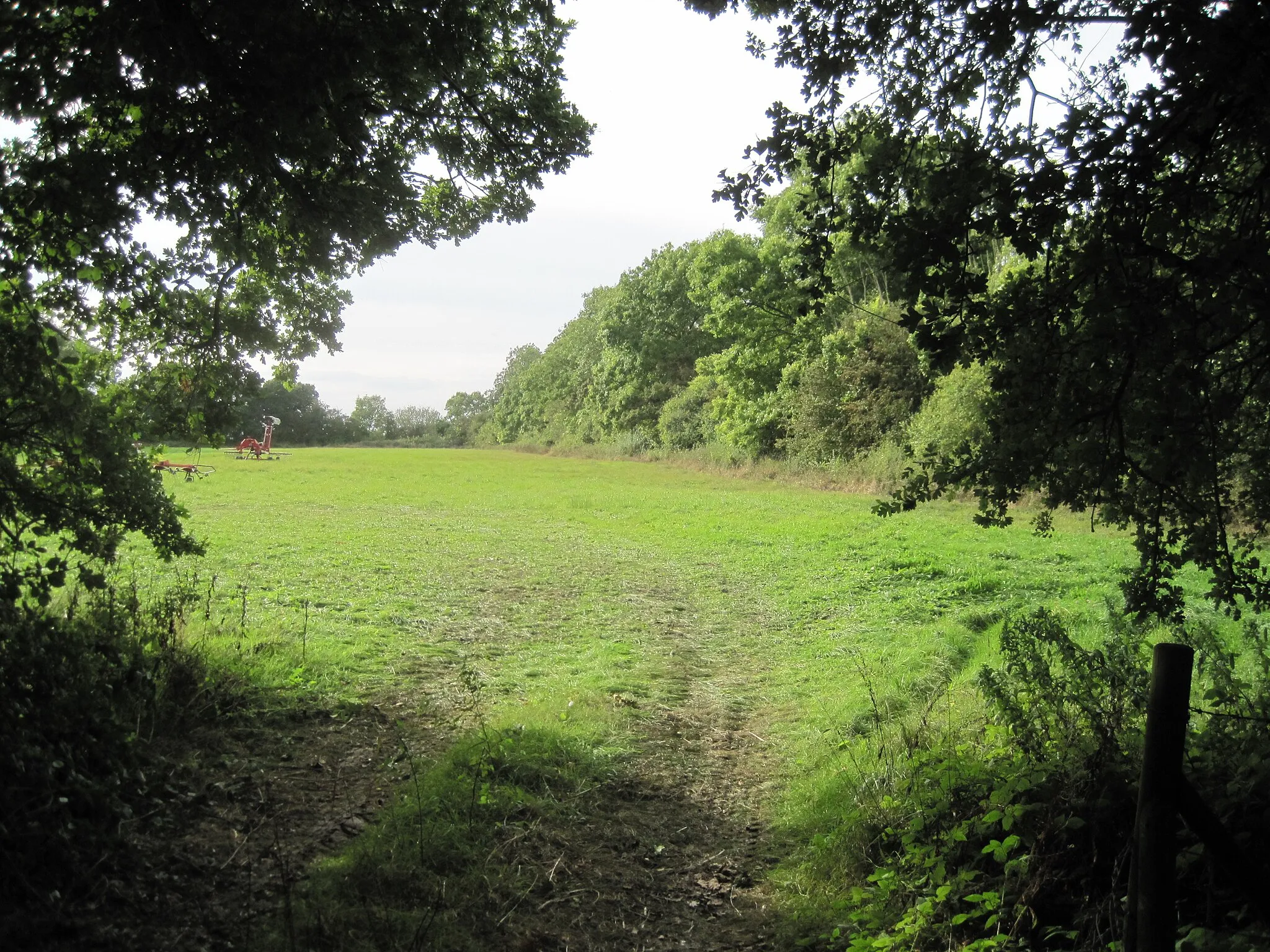 Photo showing: Caldecote Meadows is a biological Site of Special Scientific Interest in Caldecote in Cambridgeshire
