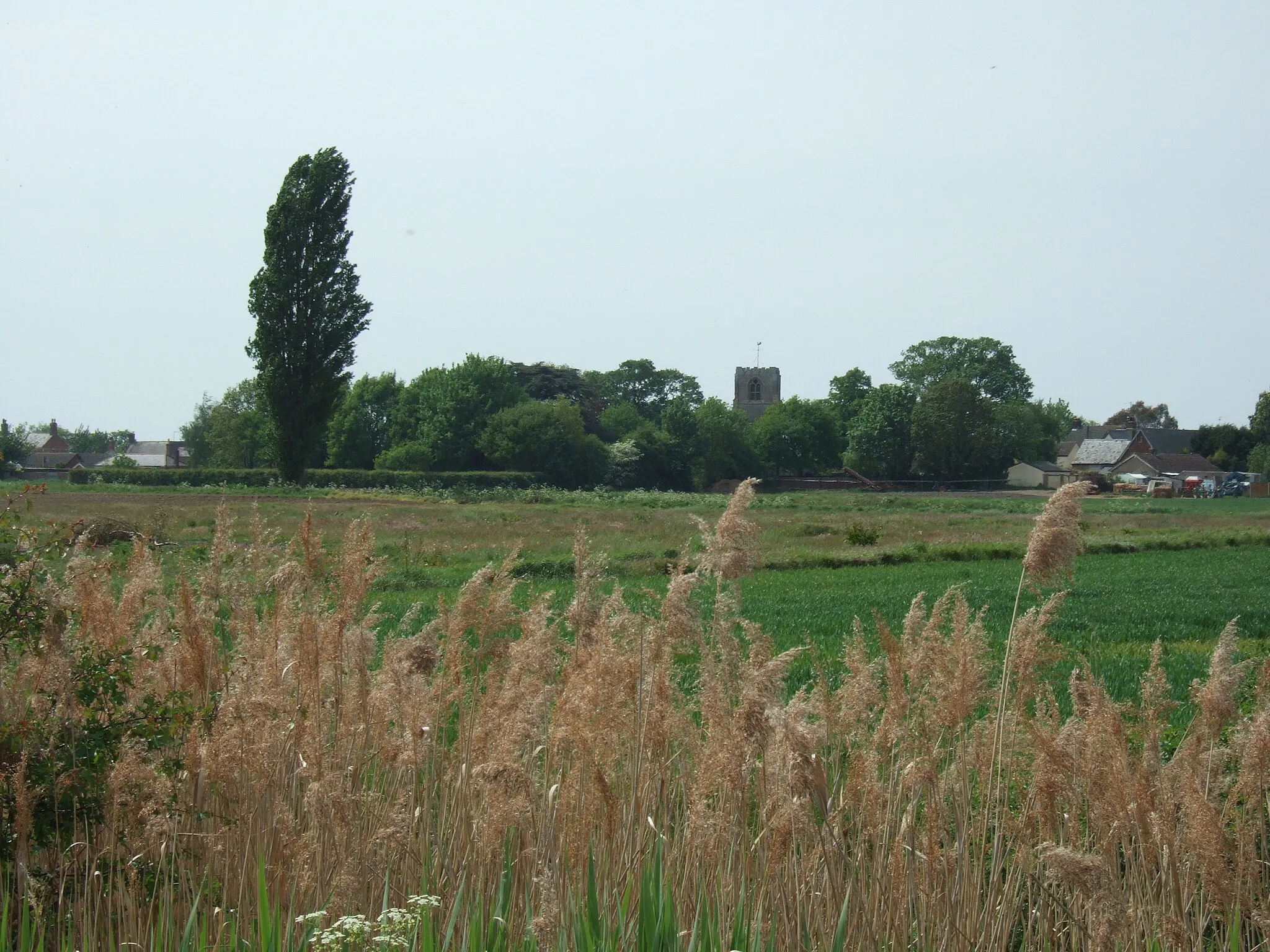 Photo showing: A view towards Gedney Hill from Mole Drove