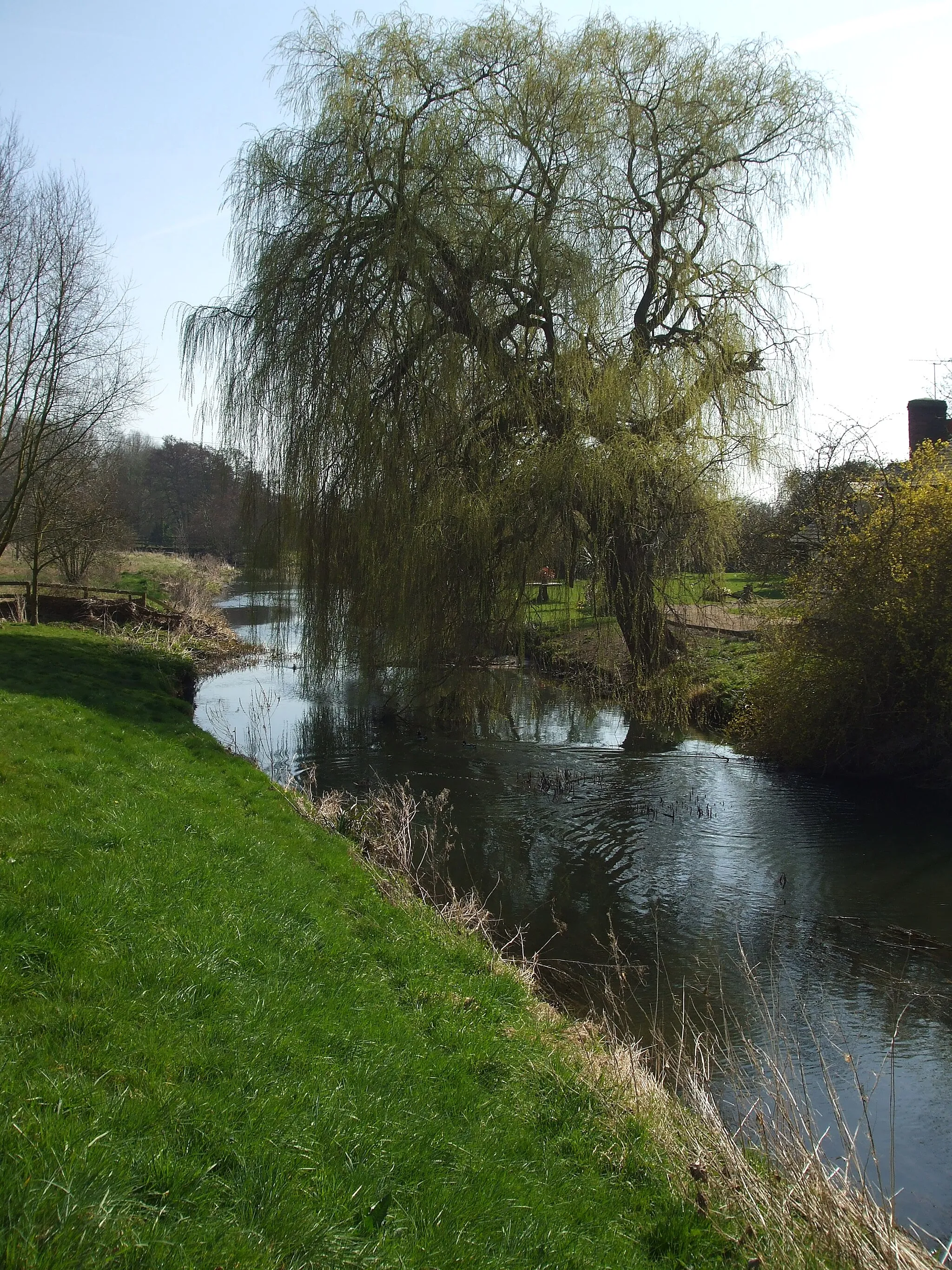 Photo showing: River Chelmer at little Waltham