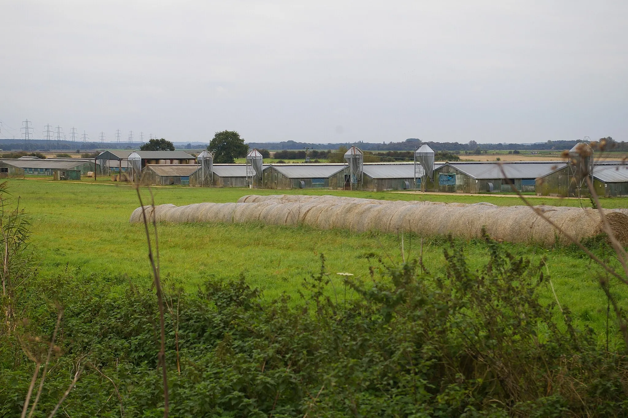 Photo showing: Farm buildings near Setchey