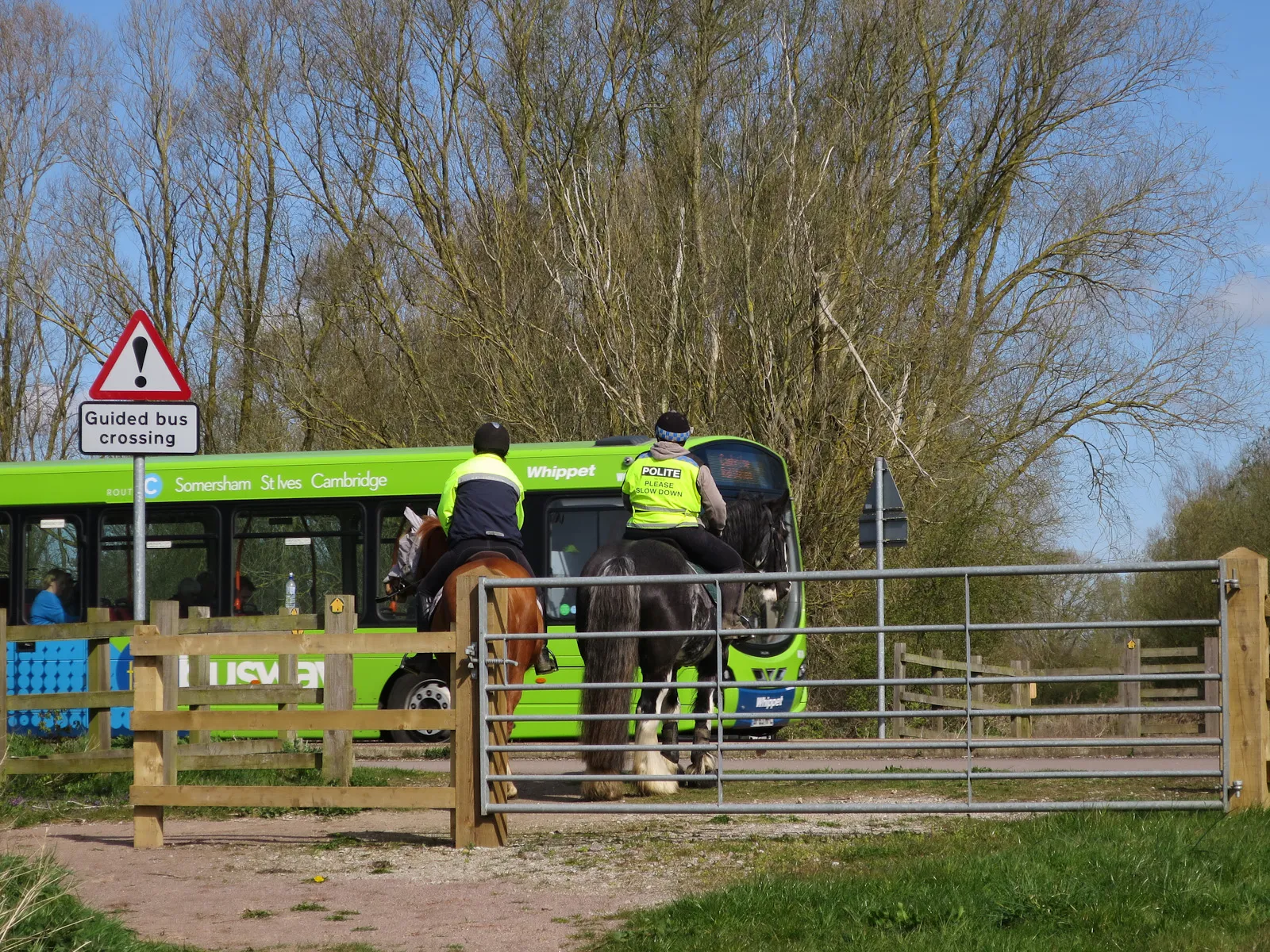 Photo showing: (Im)polite horse rider