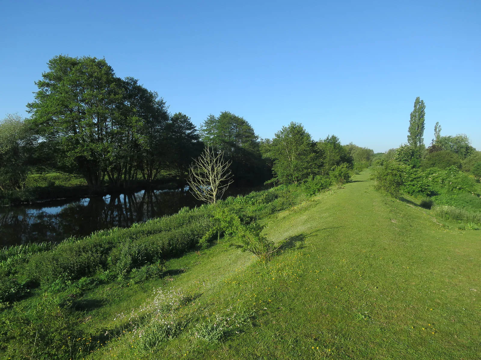 Photo showing: Bridleway by the Little Ouse River