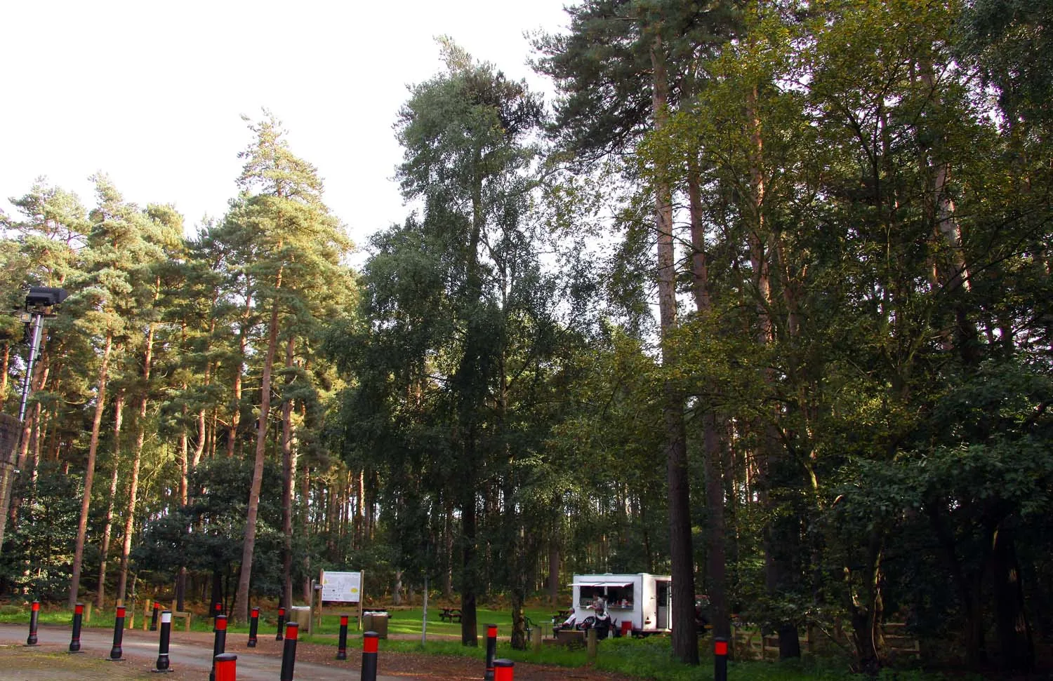 Photo showing: Roudham Heath Picnic Area