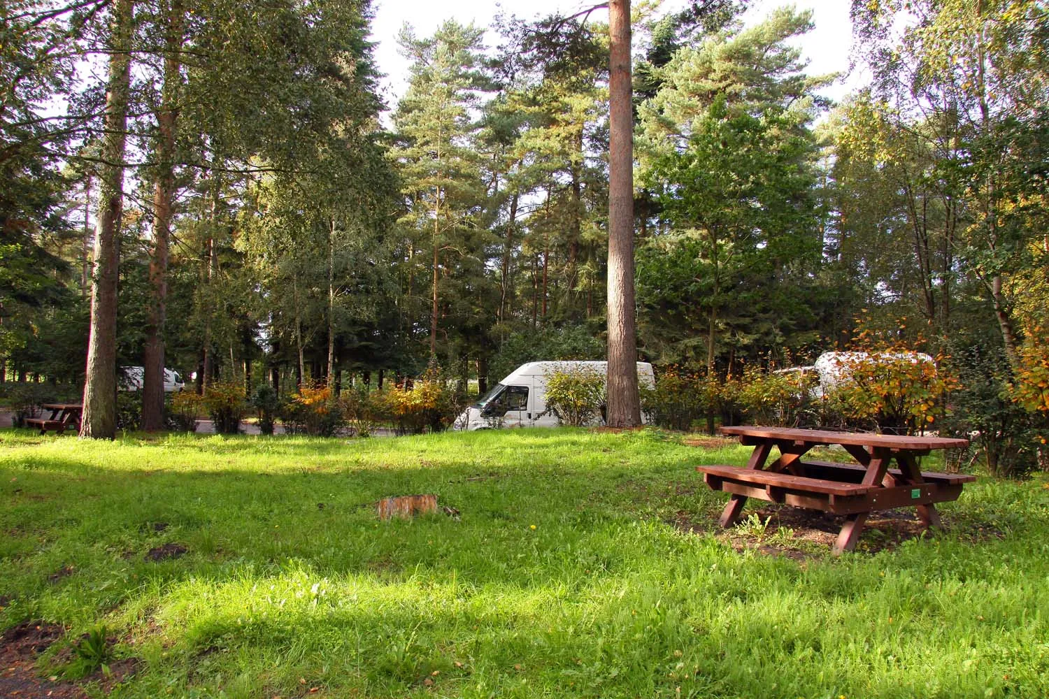 Photo showing: Roudham Heath Picnic Area