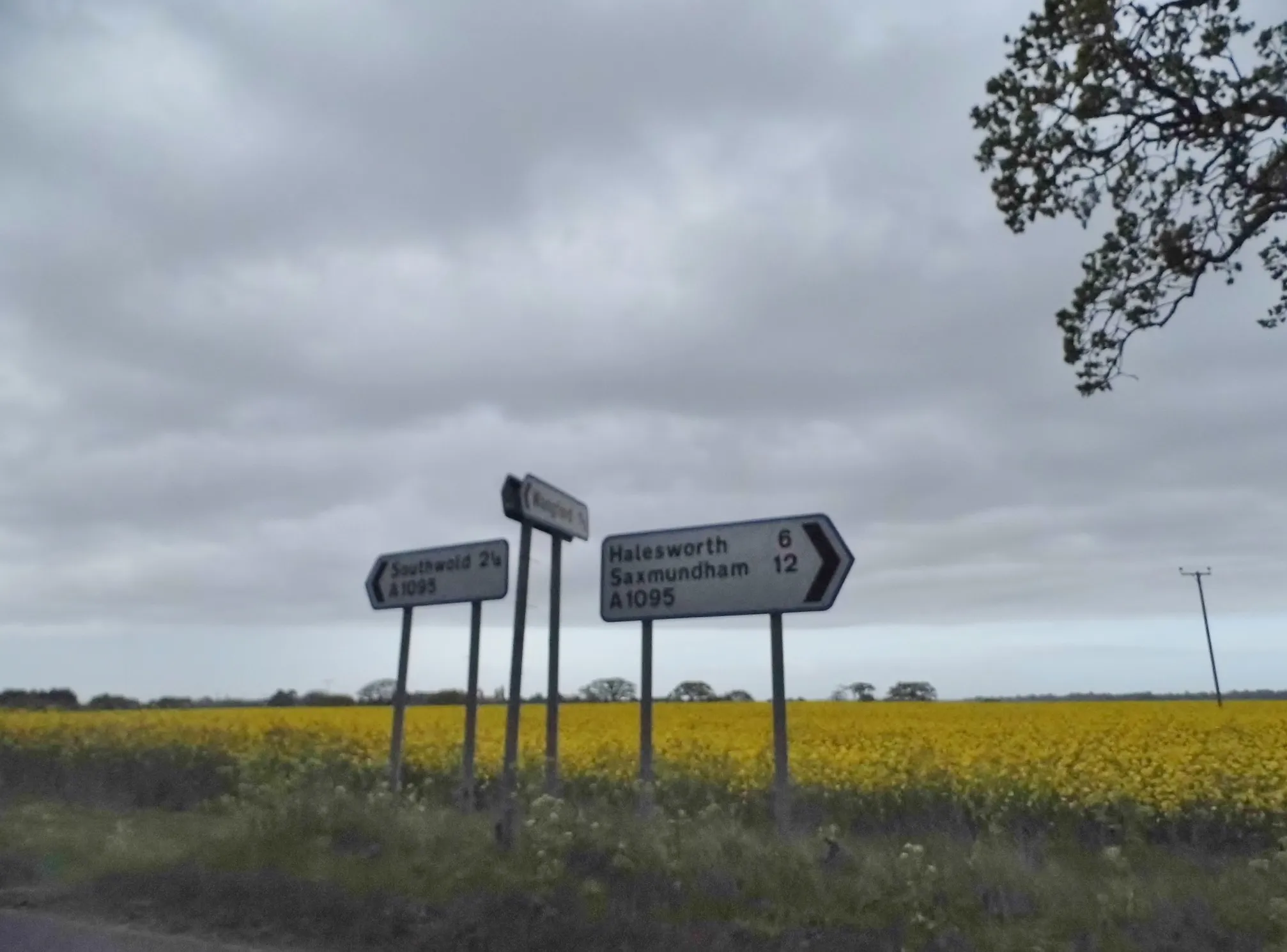 Photo showing: Directions on the A1095 near Reydon