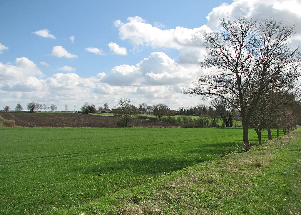 Photo showing: Across the fields to Steeple Morden