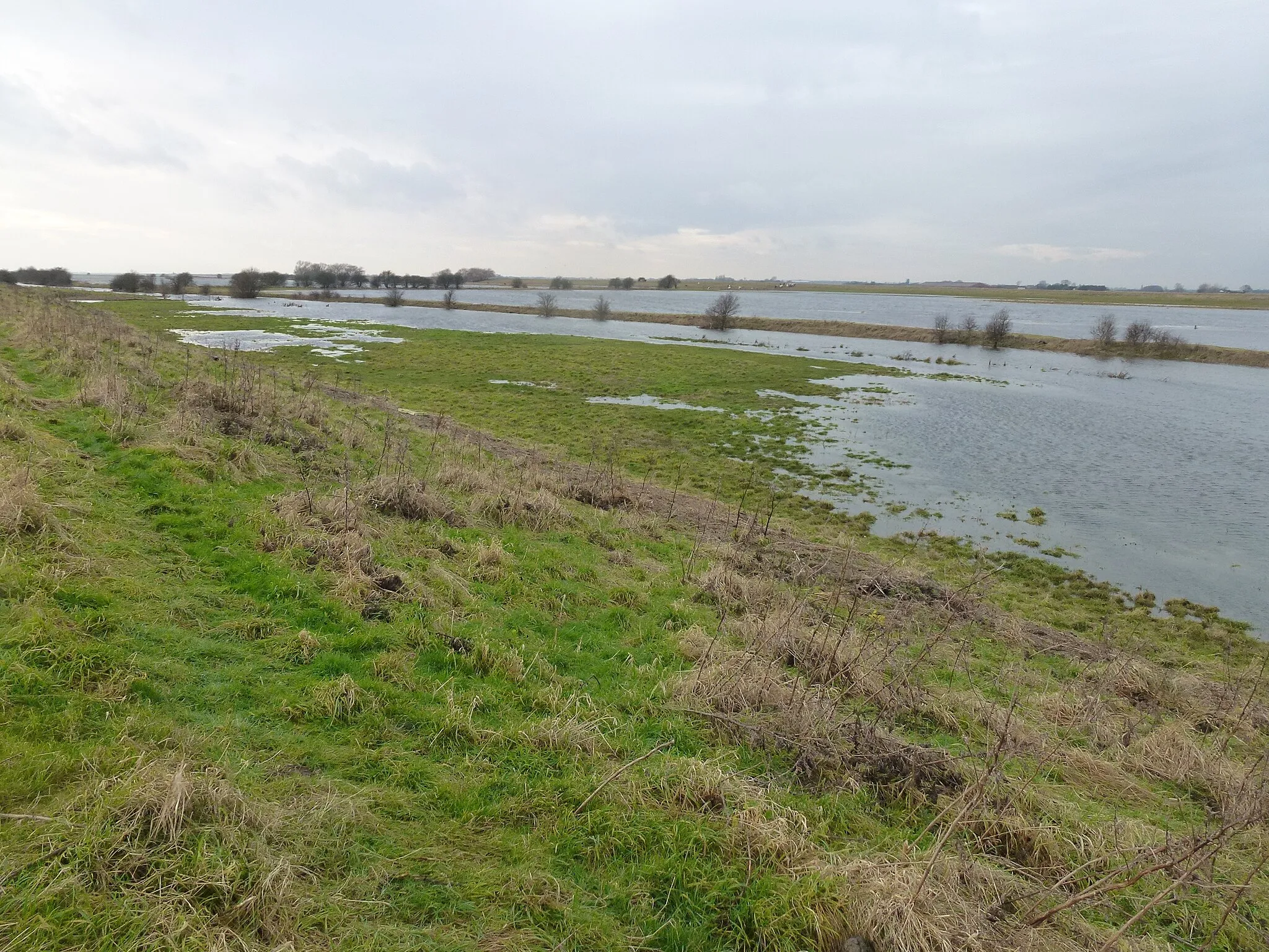 Photo showing: A view from The Nene Way - The Nene Washes