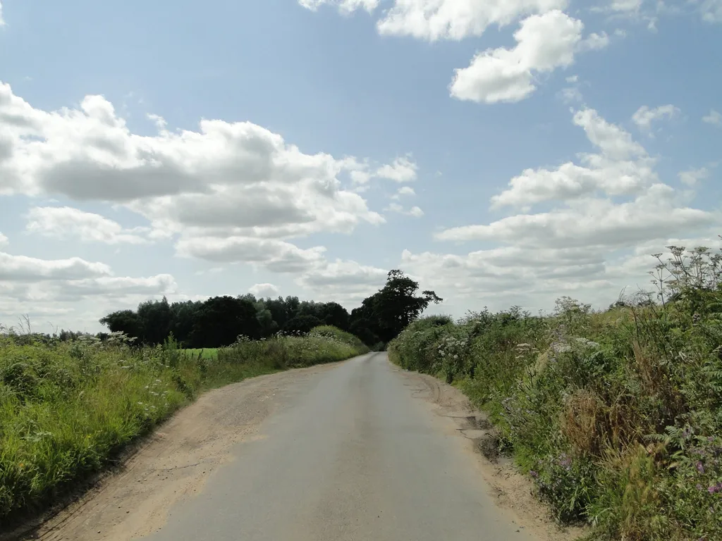 Photo showing: Passing Place on narrow un-named road at Horstead