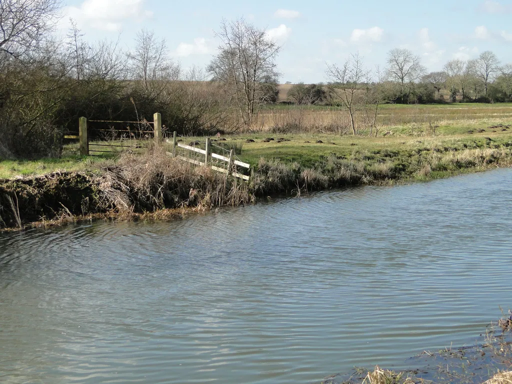 Photo showing: Animal barrier on the River Bure