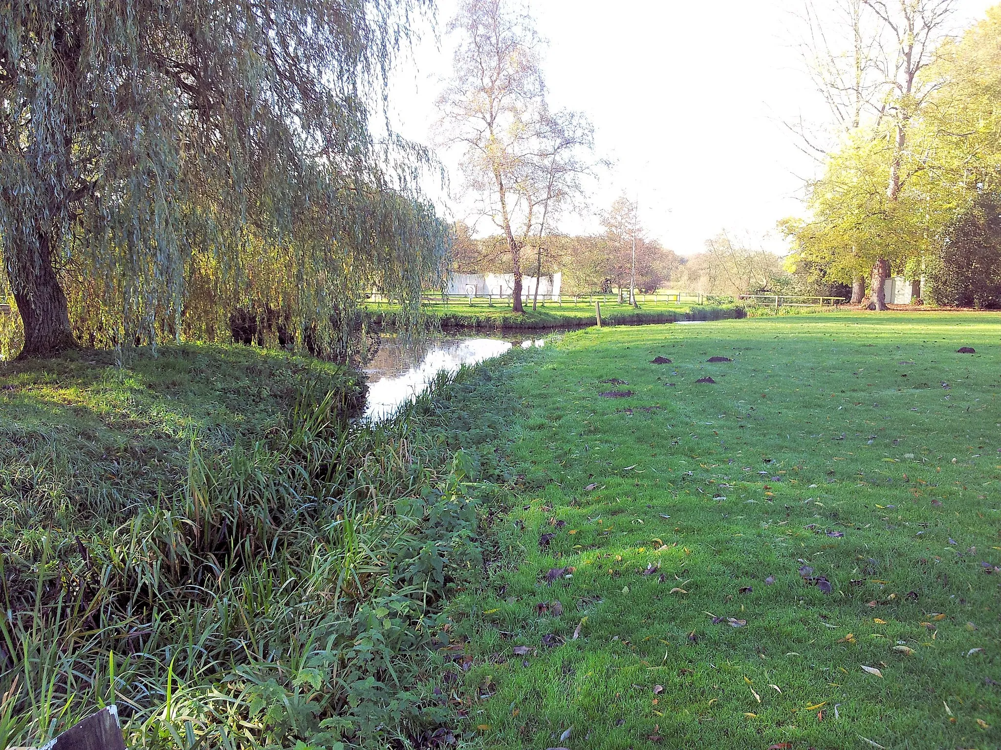 Photo showing: A small branch of the River Bure as it runs through the grounds of Hautbois House