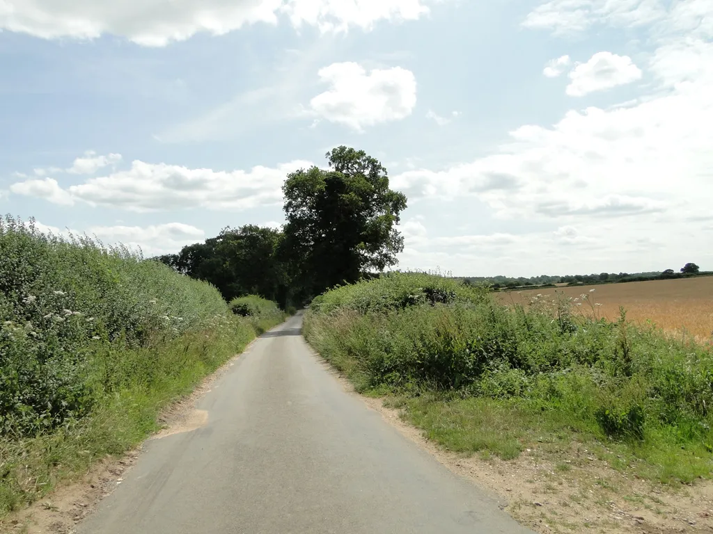 Photo showing: Primrose Lane near Primrose Hole, Crostwick