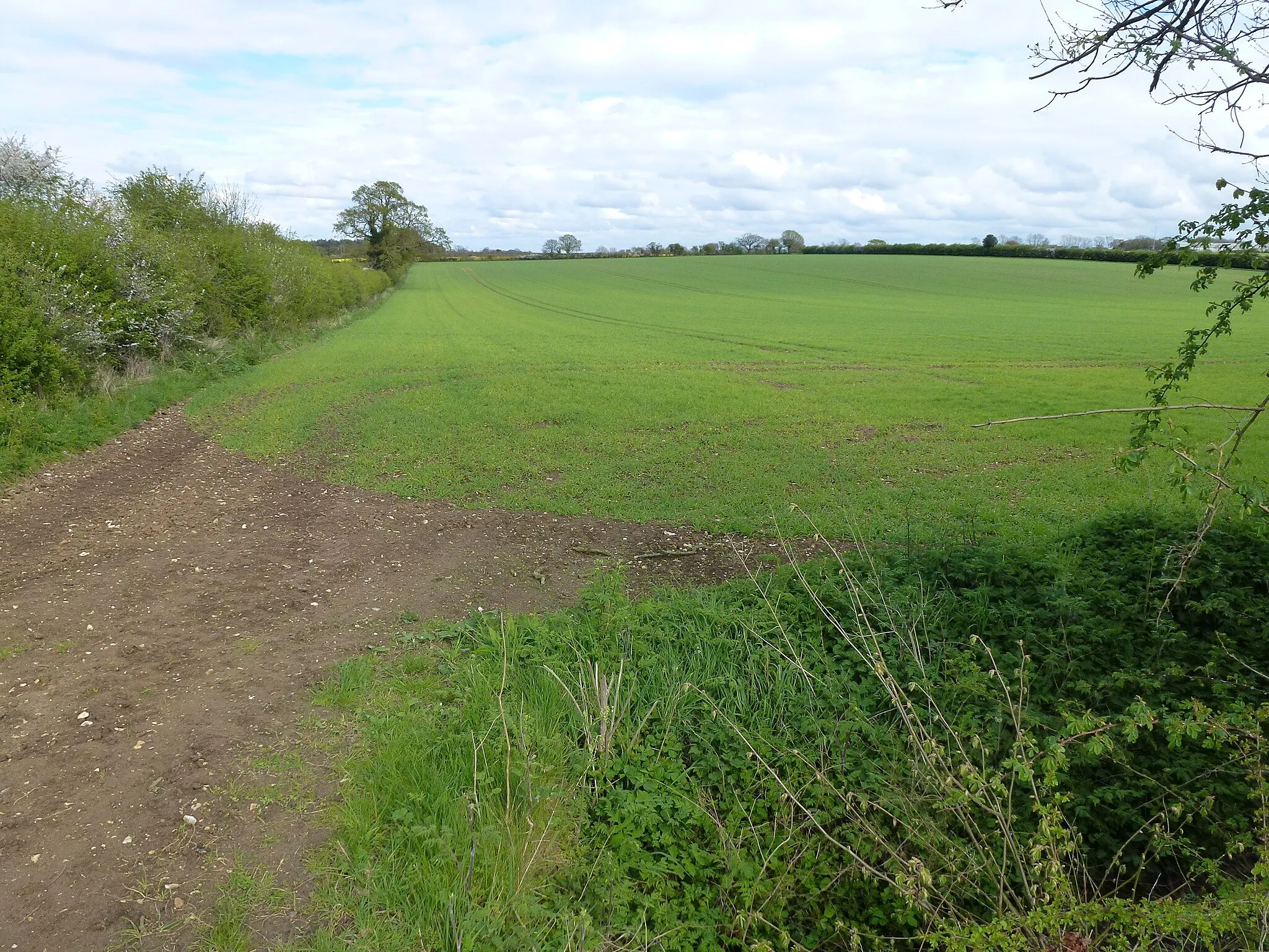Photo showing: Farmland near Great Dunham, Norfolk