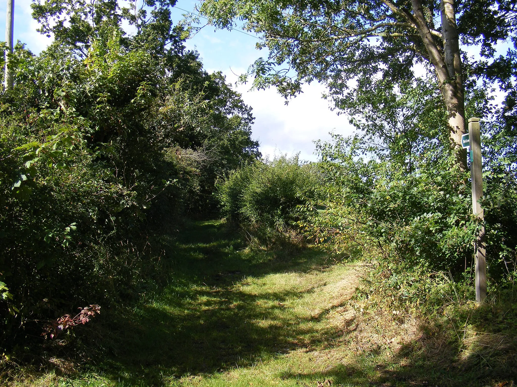 Photo showing: Banks Lane Bridleway to New Road