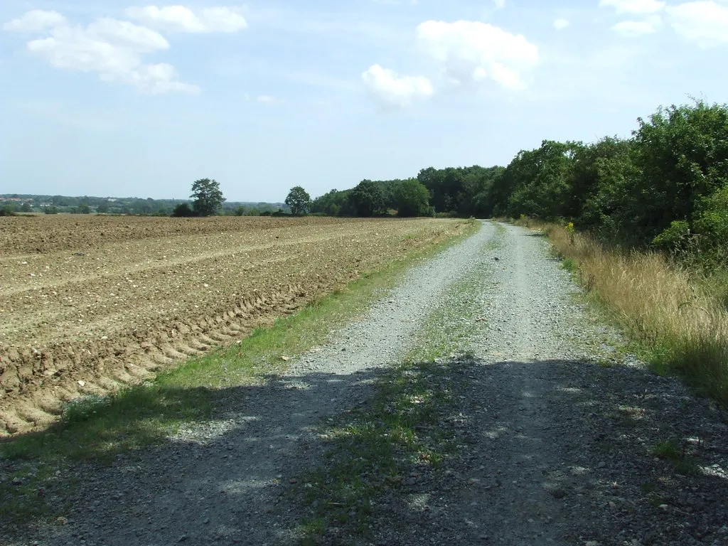 Photo showing: Access Road