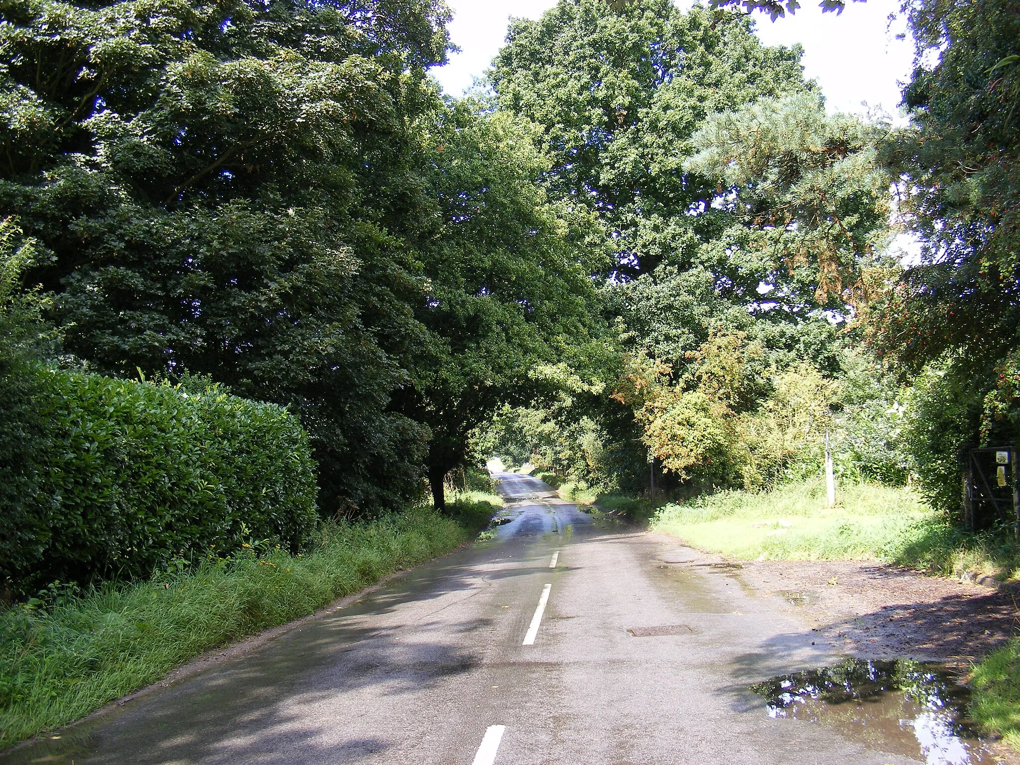 Photo showing: Blyford Lane, Wenhaston