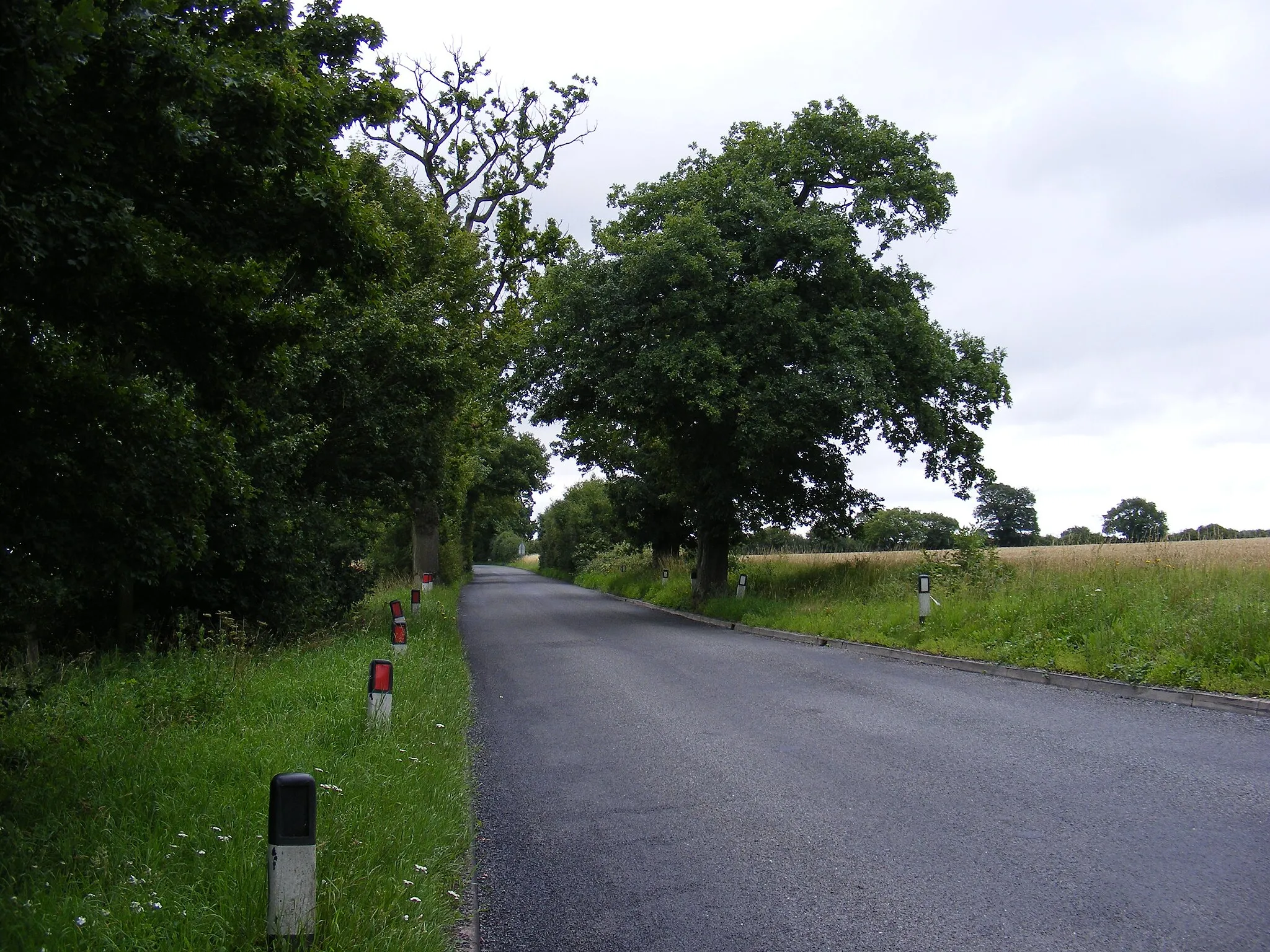 Photo showing: B1119 Saxmundham Road