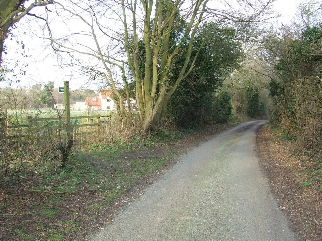 Photo showing: Footpath