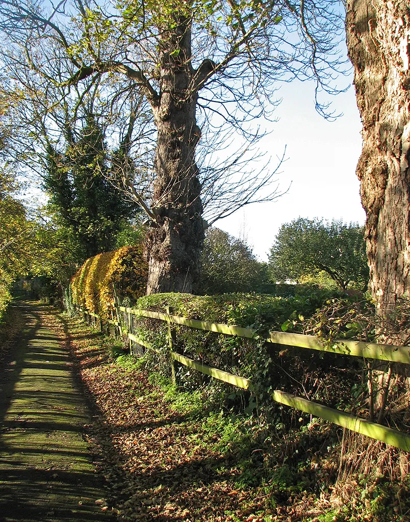 Photo showing: Lolworth: church path