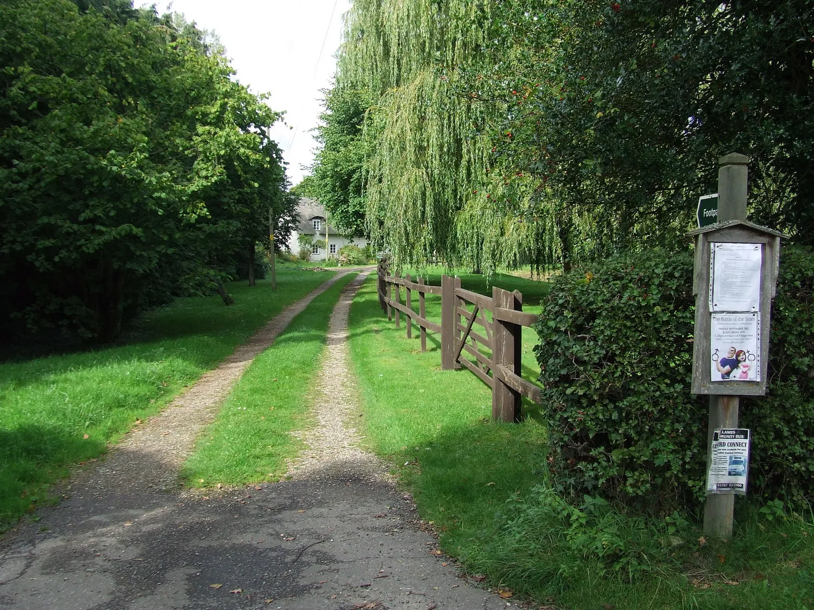 Photo showing: Footpath