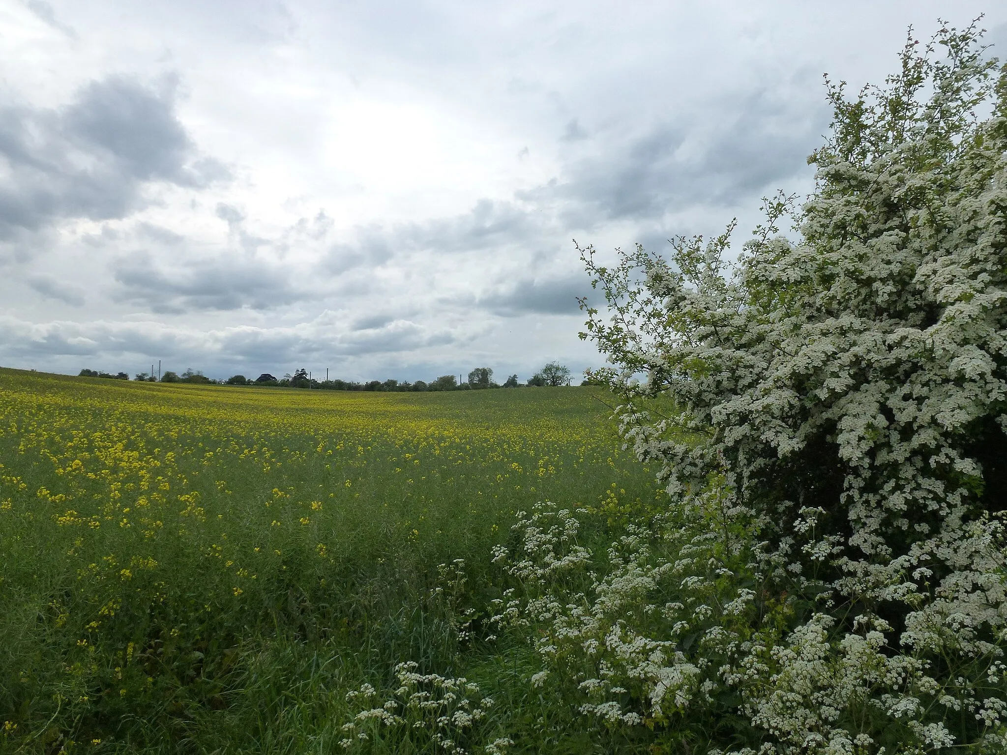 Photo showing: A favourite spot