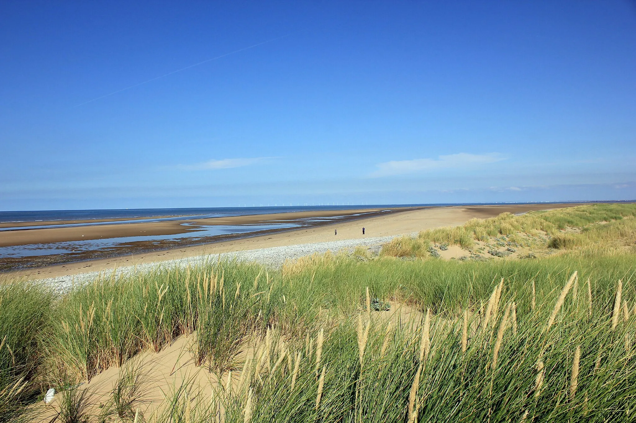 Photo showing: Gronant Dunes Nature Reserve