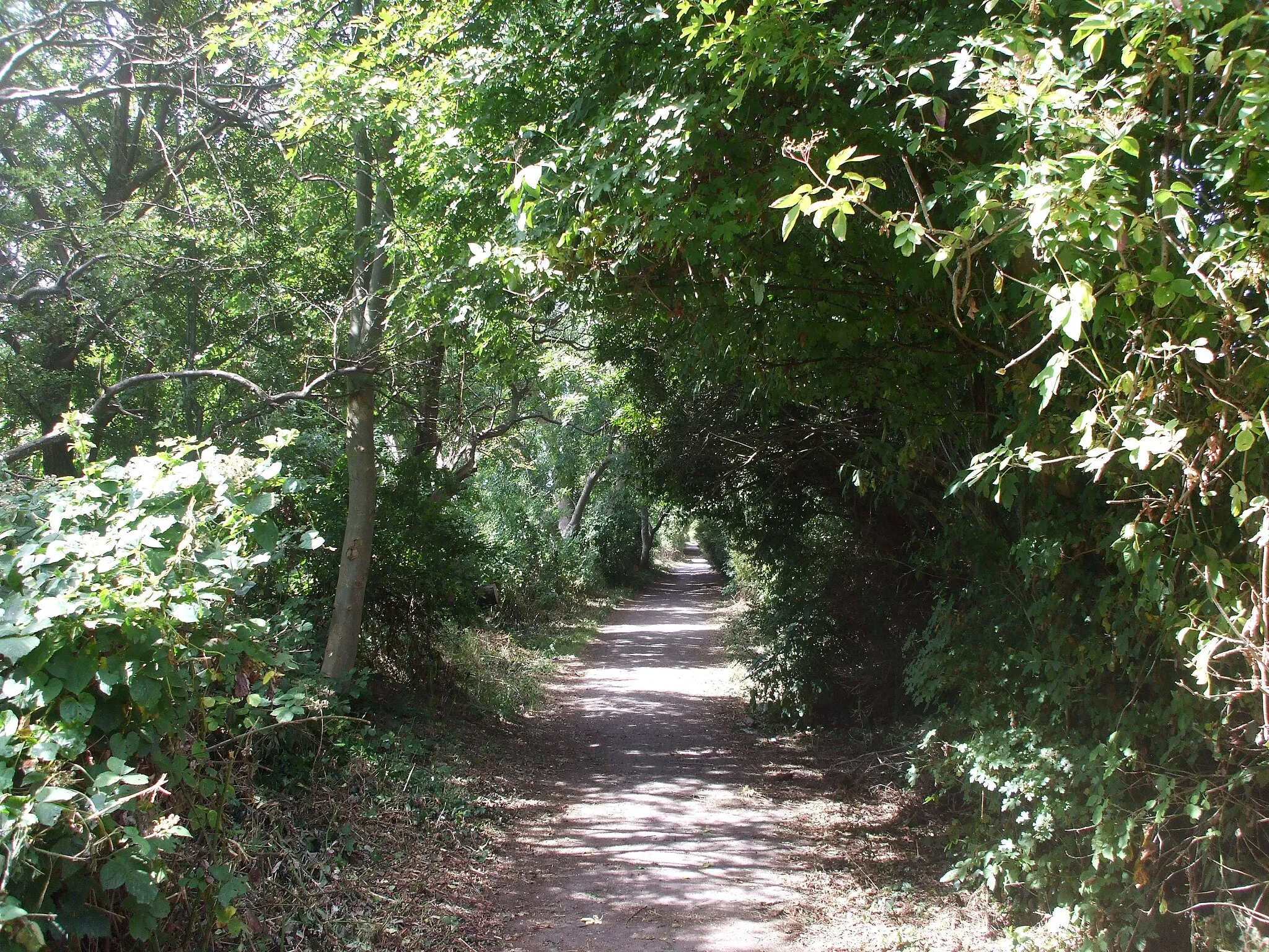 Photo showing: Footpath beside Ysgol Erw'r Delyn, Penarth