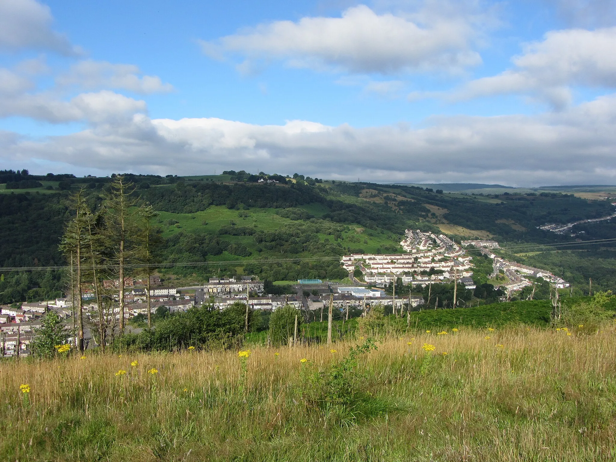 Photo showing: View towards Tyntetown from Daren y Celyn