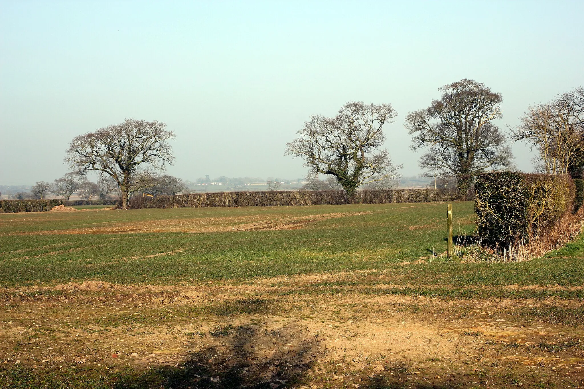 Photo showing: Path across the Borderlands